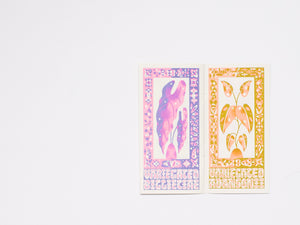 Garden of Tropical Plants