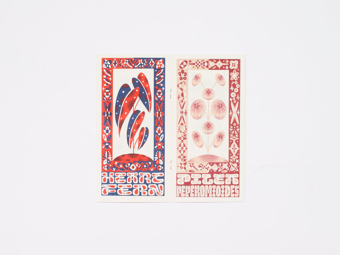 Garden of Tropical Plants