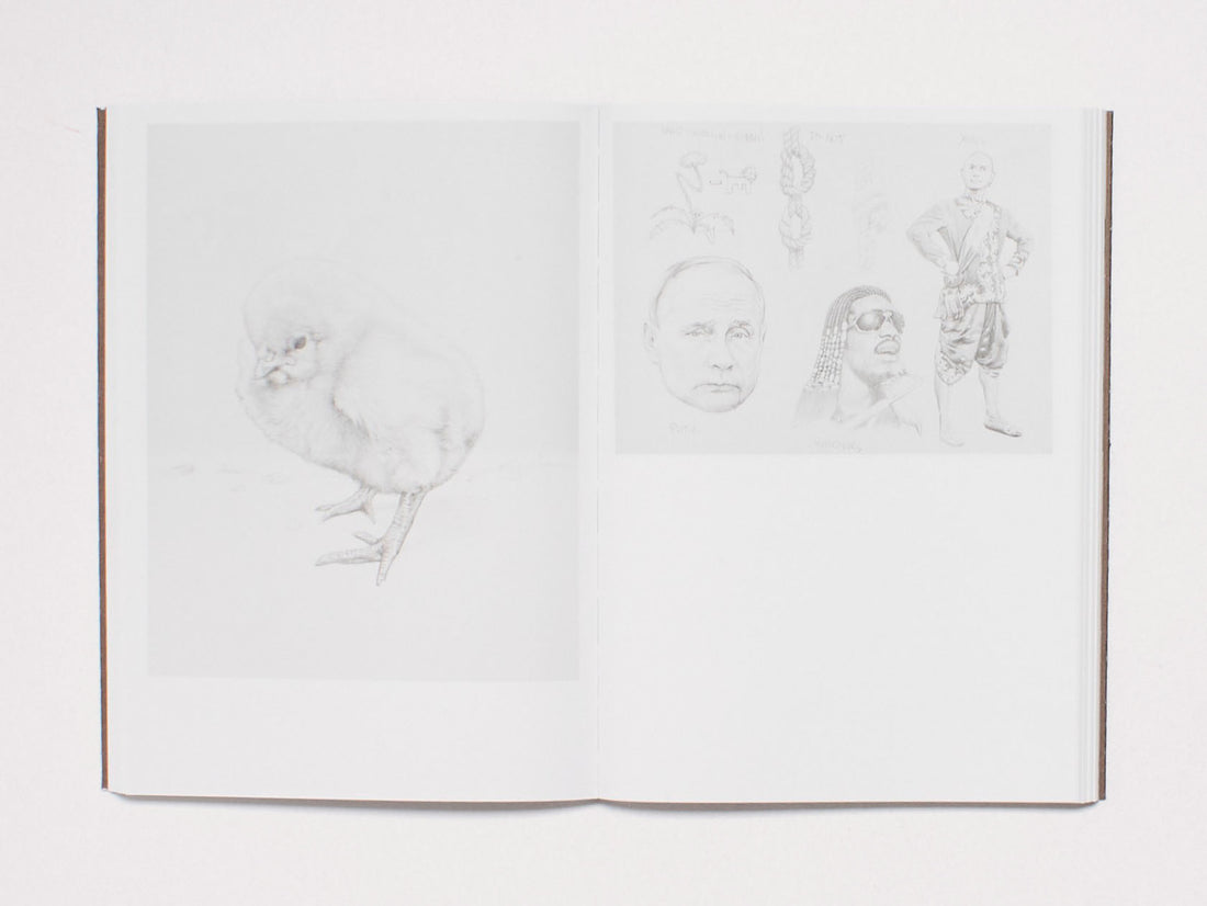 Jim Shaw: The Ties That Bind