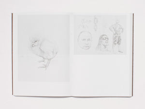 Jim Shaw: The Ties That Bind