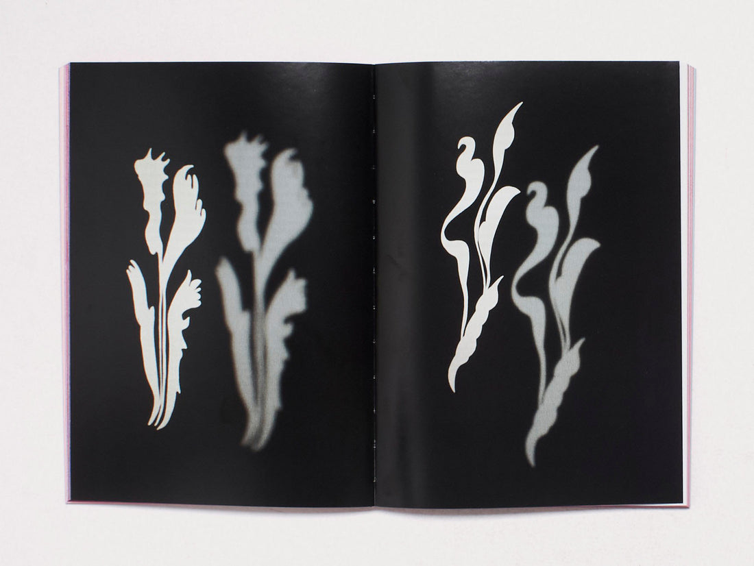 Lucid Reverie: Panorama of Portuguese Contemporary Art