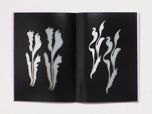 Lucid Reverie: Panorama of Portuguese Contemporary Art