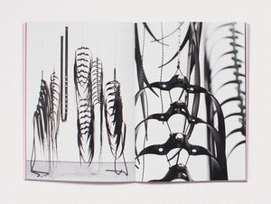 Lucid Reverie: Panorama of Portuguese Contemporary Art