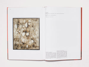 Prampolini Burri: Dalla Materia