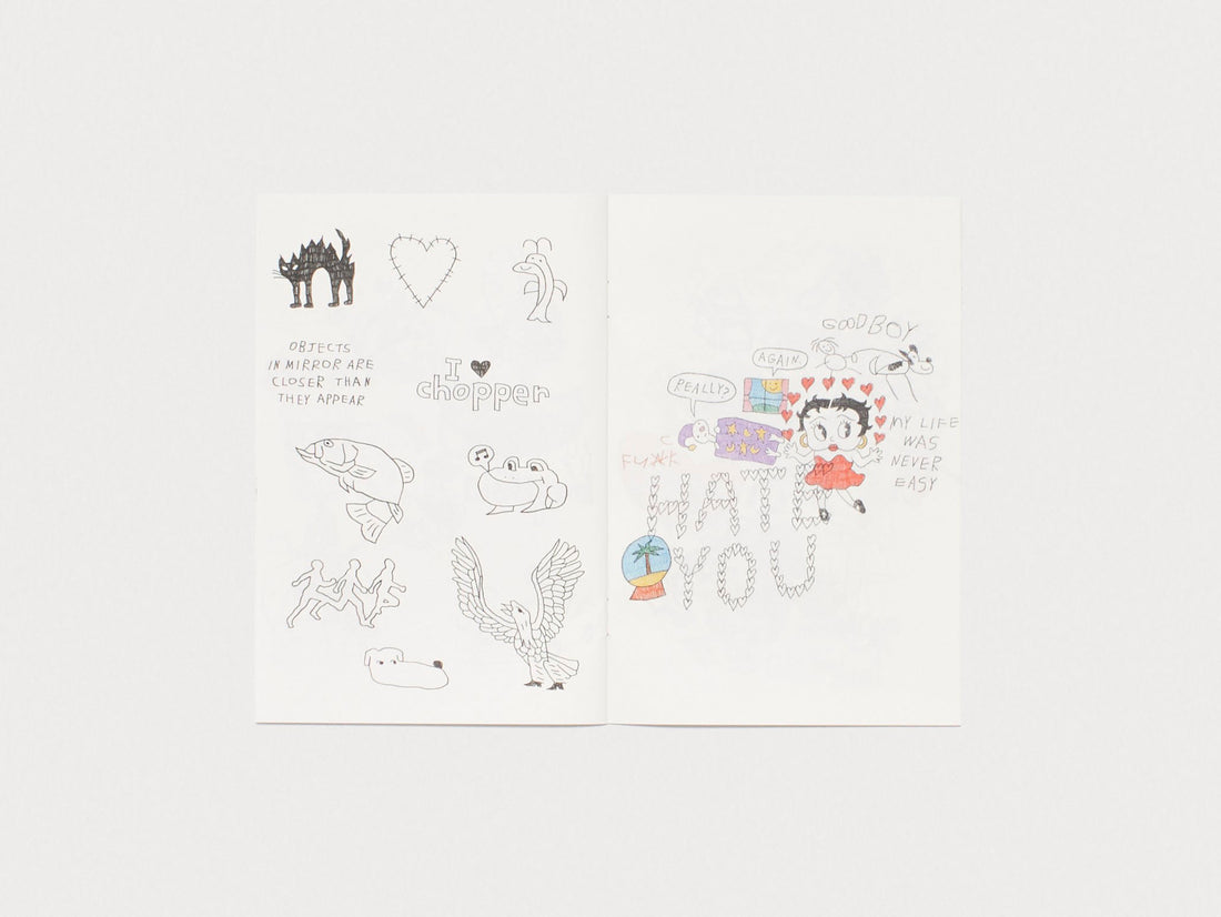 Echoes Faded Culture