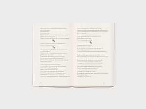 Mouthing the Words: texts for performance 2019–2025