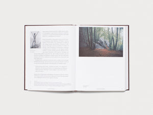 David Weiss e il Sogno di Casa Aprile / David Weiss and the Dream of Casa Aprile Carona 1968 - 1978 (I/E – Edition)