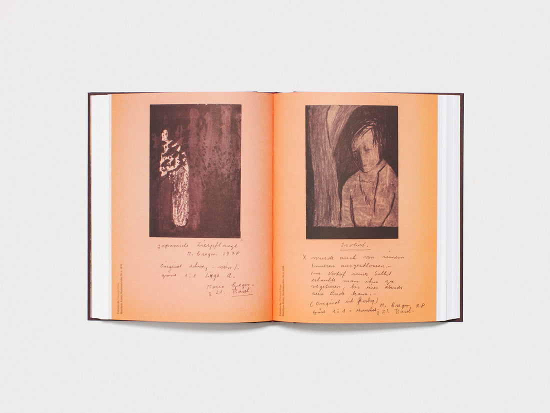 David Weiss e il Sogno di Casa Aprile / David Weiss and the Dream of Casa Aprile Carona 1968 - 1978 (I/E – Edition)