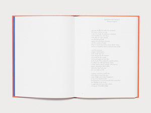 Pretenzione Intenzione – Objects of Beauty and Bewilderment from the Archive of Harald Szeemann