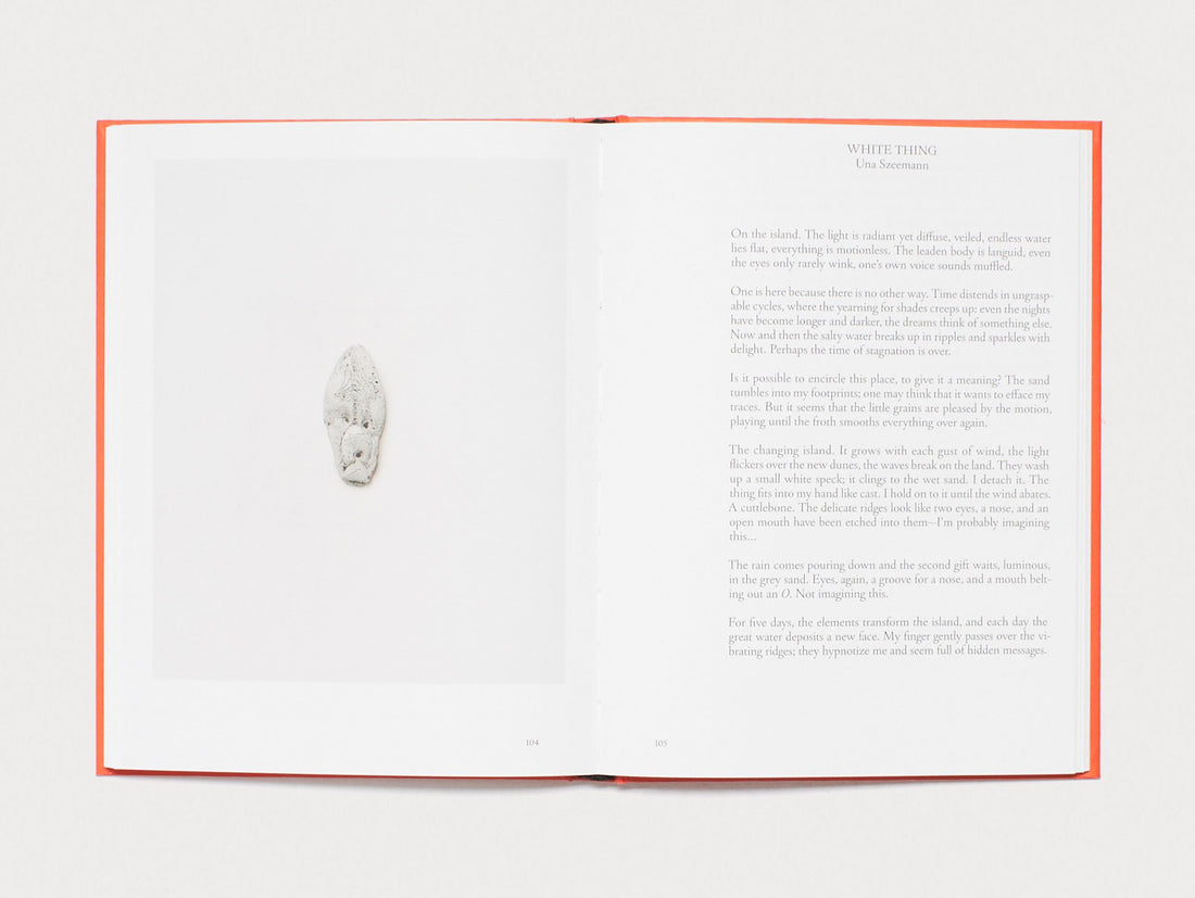 Pretenzione Intenzione – Objects of Beauty and Bewilderment from the Archive of Harald Szeemann