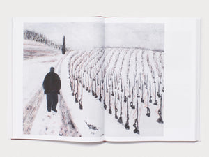 Dieter Hall A Naked Chair