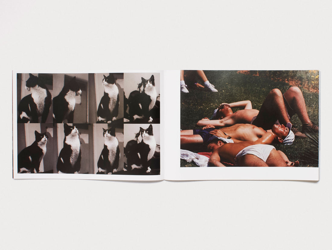 Strange Switch. Spent. The Night, Sleep.