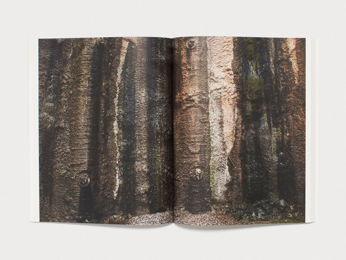 Desire and Denial: On Constructing and Contesting Infrastructures