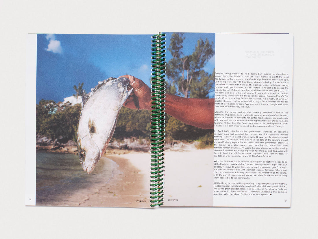 Synonym Magazine Issue 04: Enclaves