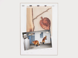 Loose Leaf Wall Calendar 2026