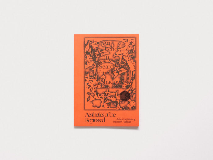 An Echo in Search of its Shadow, Aesthetics of the Repressed