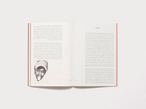 An Echo in Search of its Shadow, Aesthetics of the Repressed