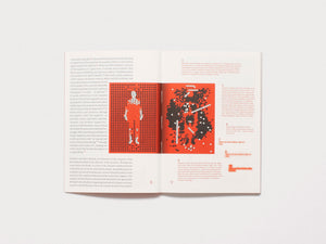 An Echo in Search of its Shadow, Aesthetics of the Repressed