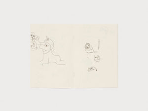 Cravings Journal, Jamie Kang