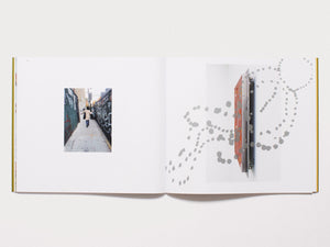 A landscape shredded