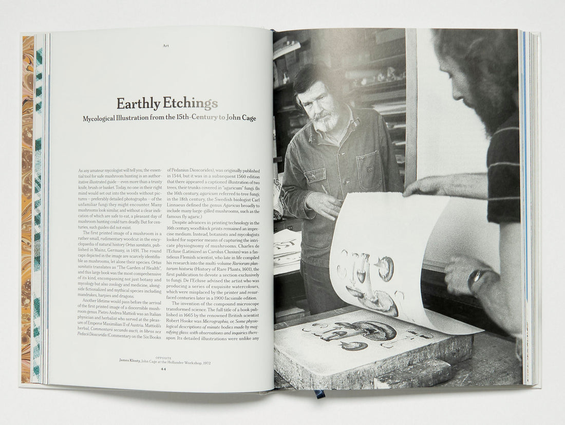 The Gourmand's Mushroom