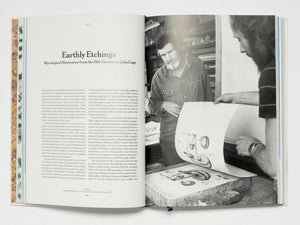 The Gourmand's Mushroom