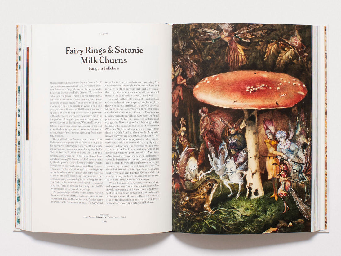 The Gourmand's Mushroom