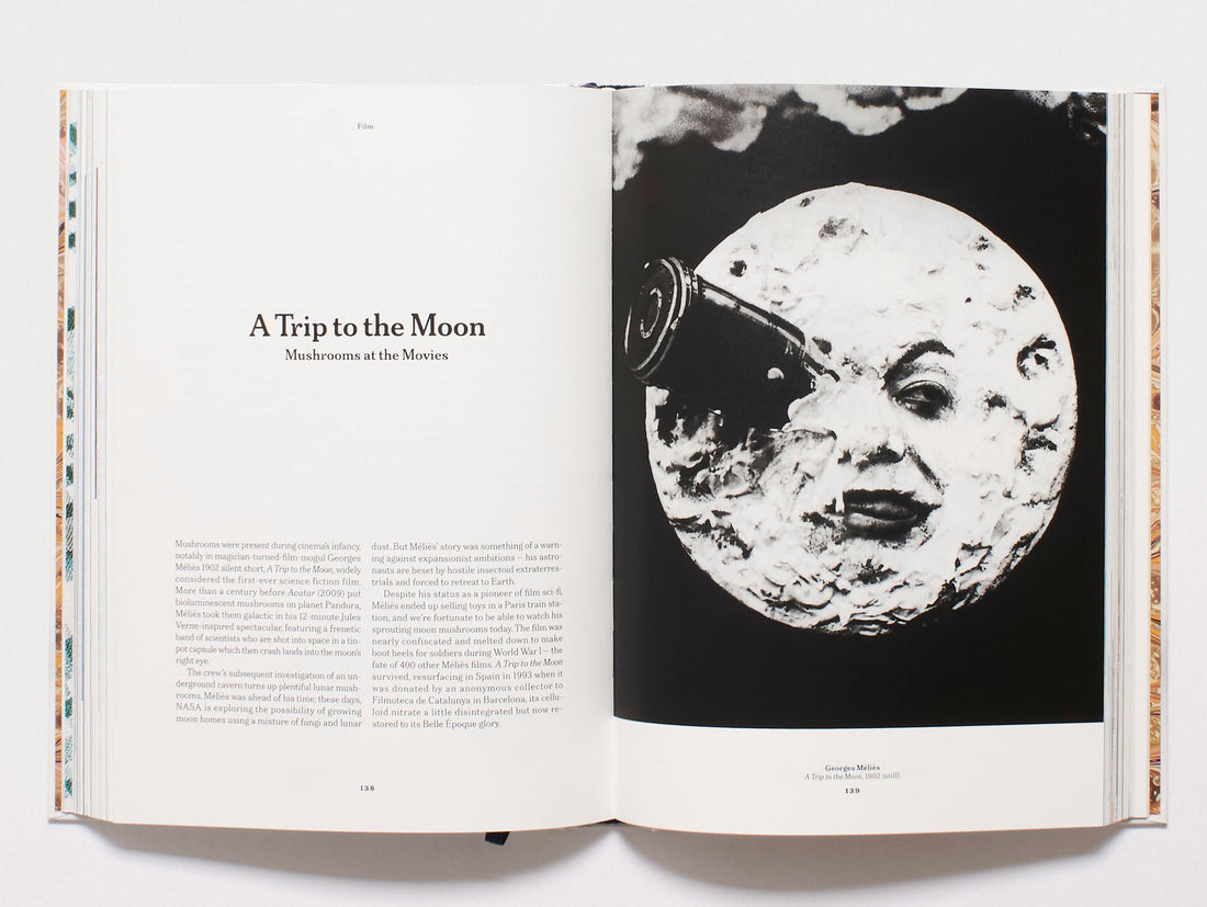 The Gourmand's Mushroom