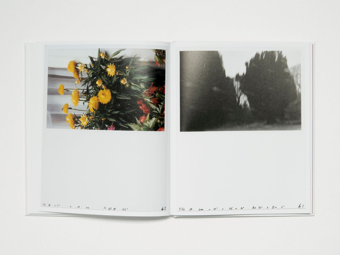 Deutsches in Deutschland