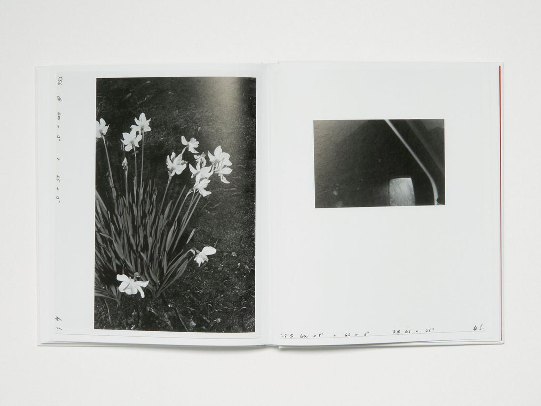 Deutsches in Deutschland