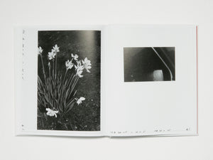 Deutsches in Deutschland