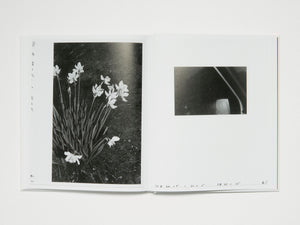 Deutsches in Deutschland