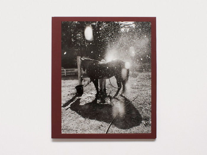 Calling the birds home