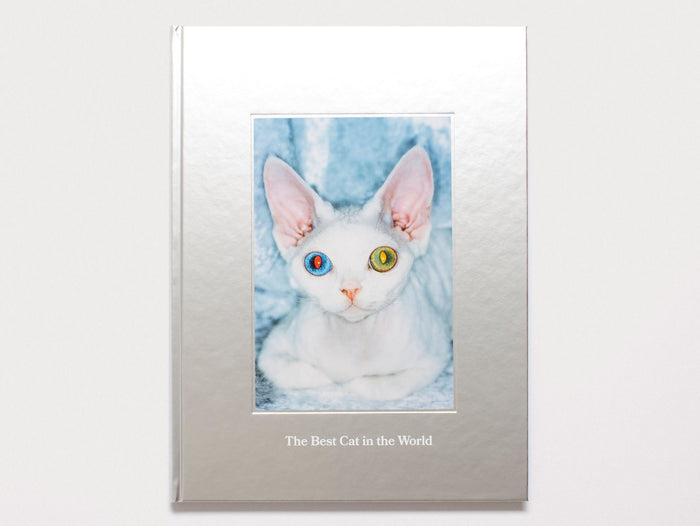 The Best Cat in the World