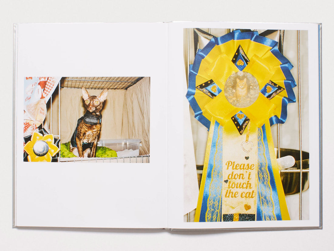 The Best Cat in the World – Antenne Books