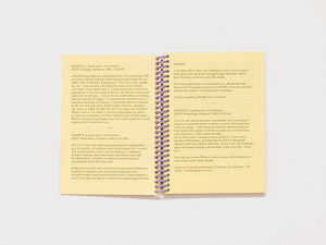 Five Zines About the Internet