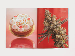 Kitchen Table #8: The Baked Issue