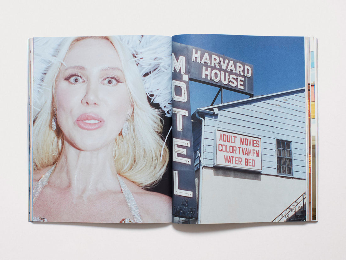 THE NEW ORDER ISSUE 38