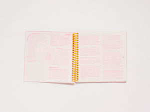 Cooking Up Collectivity