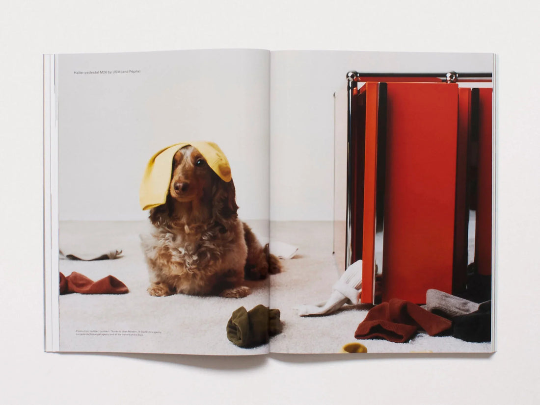 Interior spread featuring a dog with a yellow cloth on its head next to a red modular cabinet.
