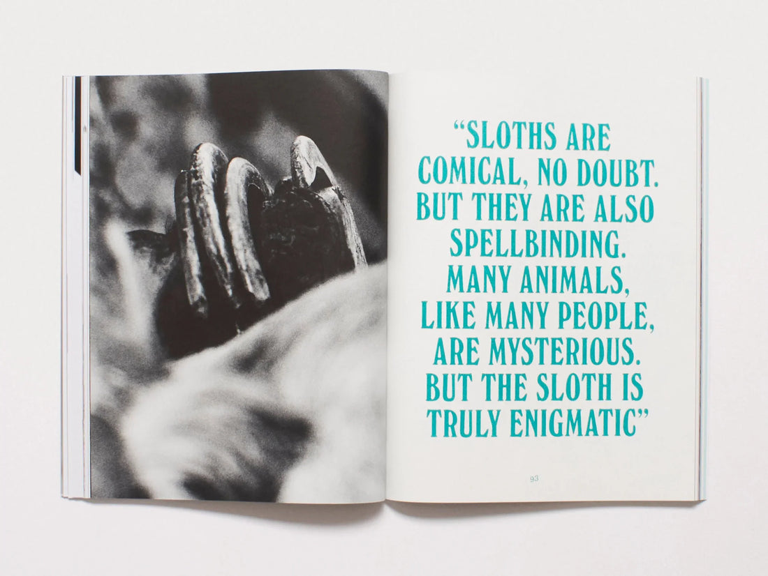 Interior spread featuring a black and white image of a sloth and teal typography.