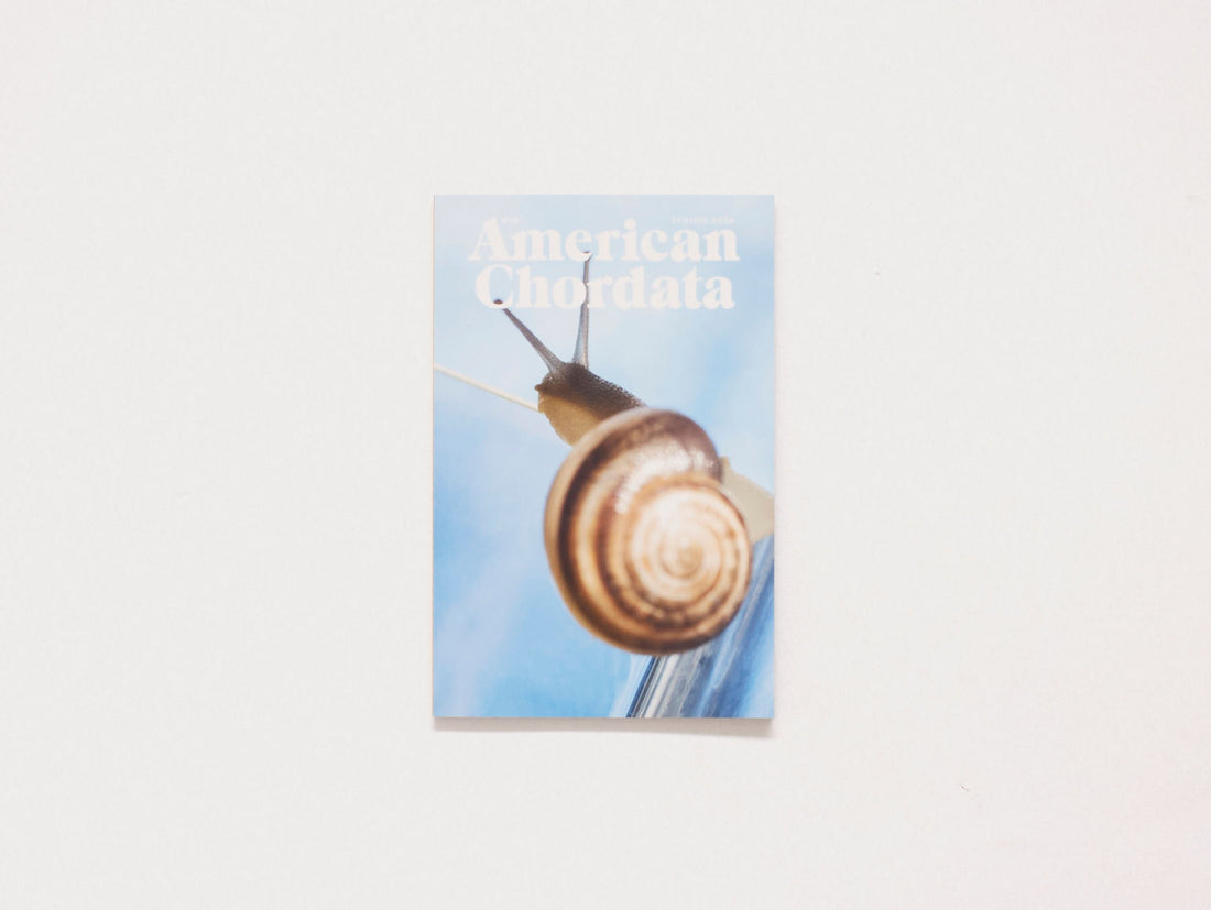 American Chordata Issue Fourteen