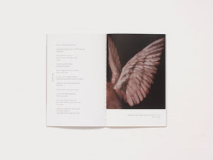 American Chordata Issue Fourteen