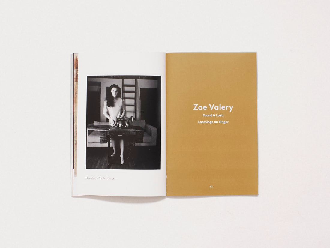 American Chordata Issue Fourteen