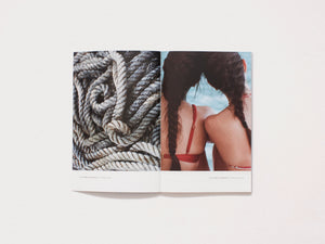 American Chordata Issue Fourteen