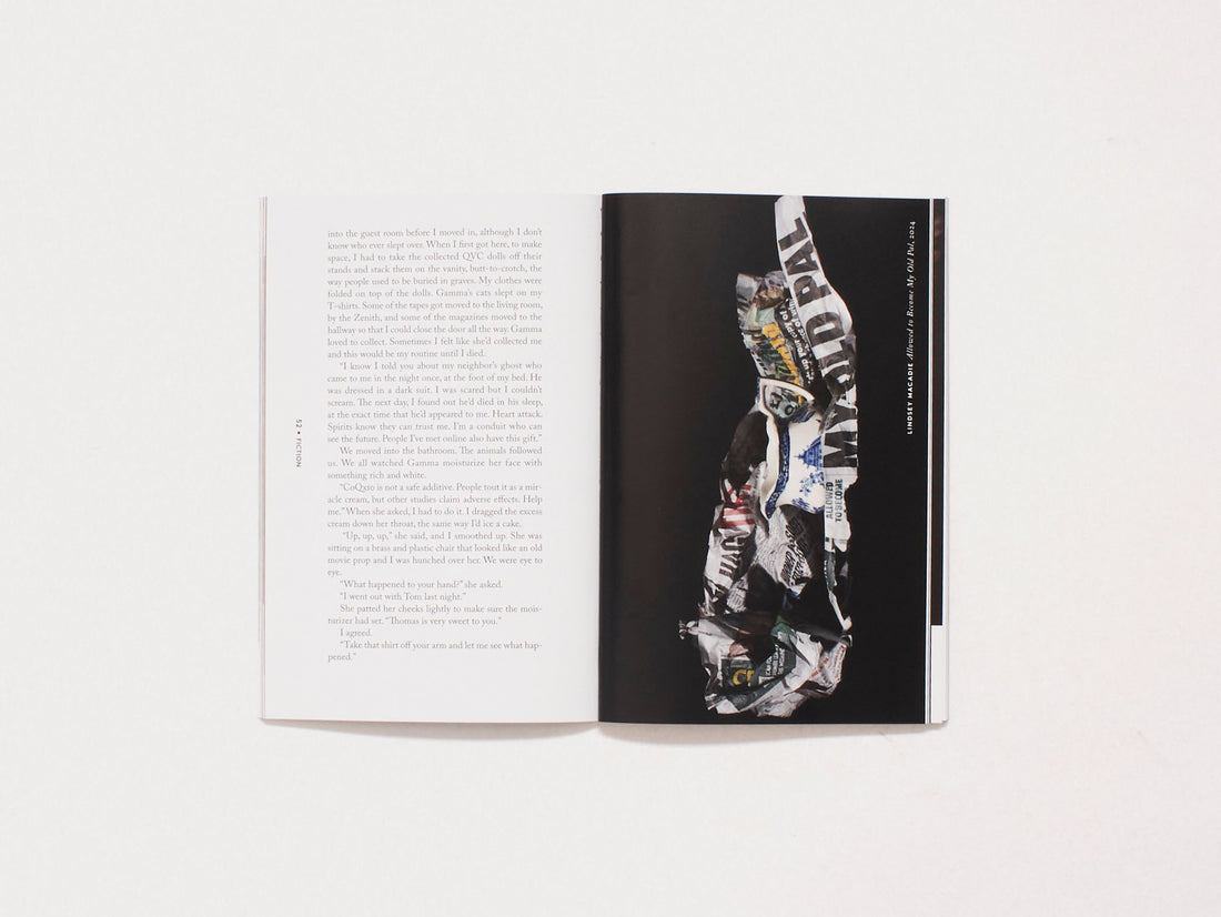 American Chordata Issue Fourteen