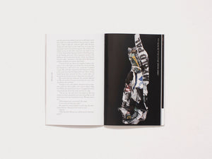 American Chordata Issue Fourteen