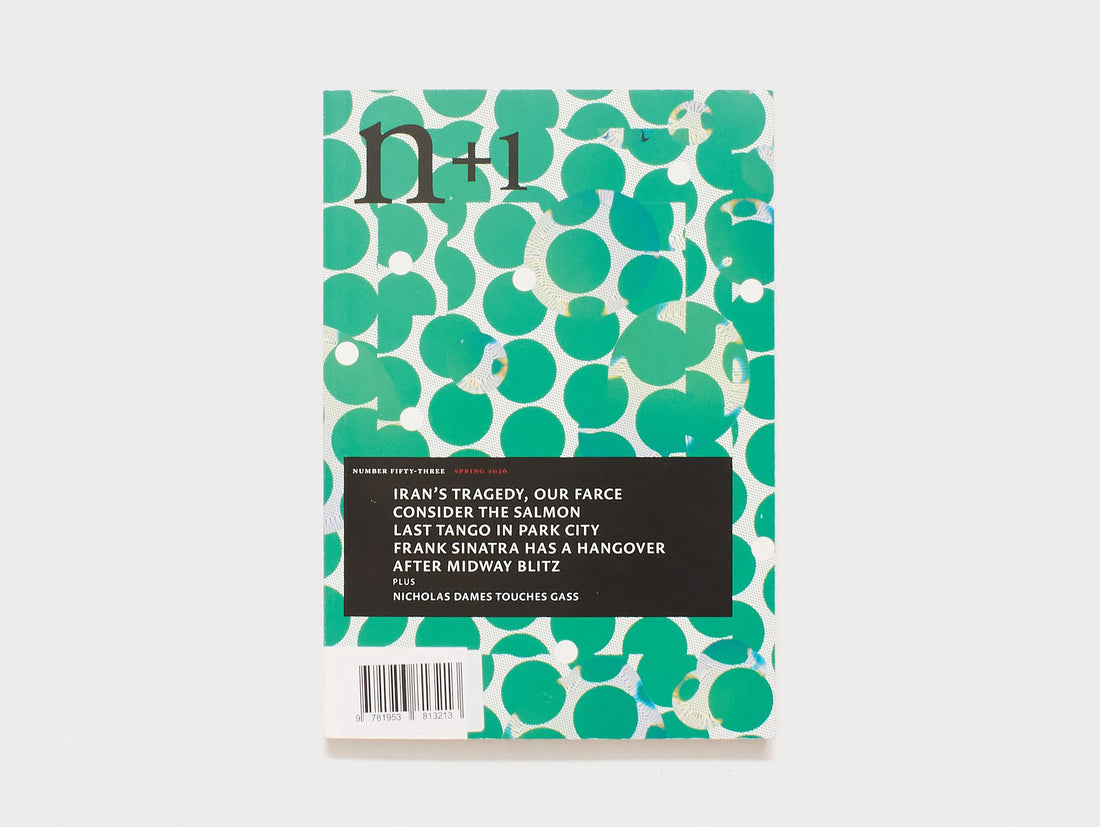 n+1 Issue 53: EXCURSIONS