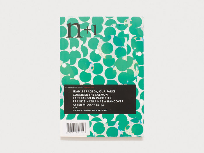 n+1 Issue 53: EXCURSIONS
