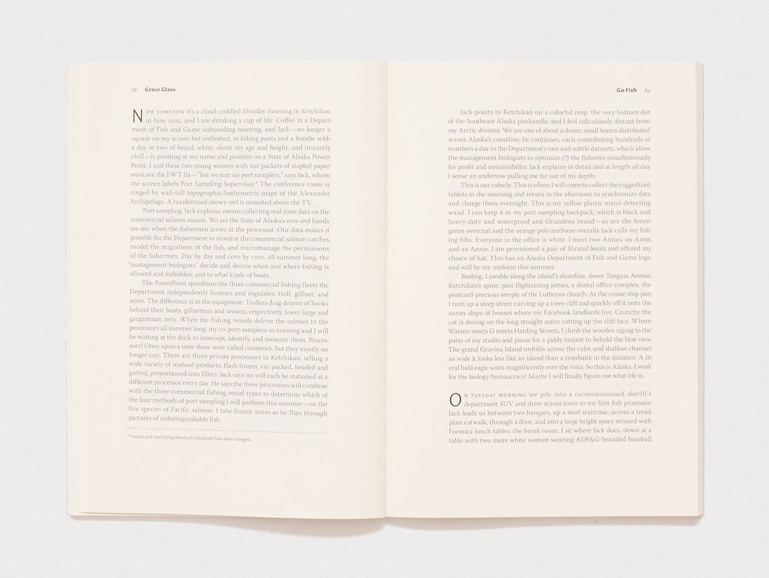 n+1 Issue 53: EXCURSIONS